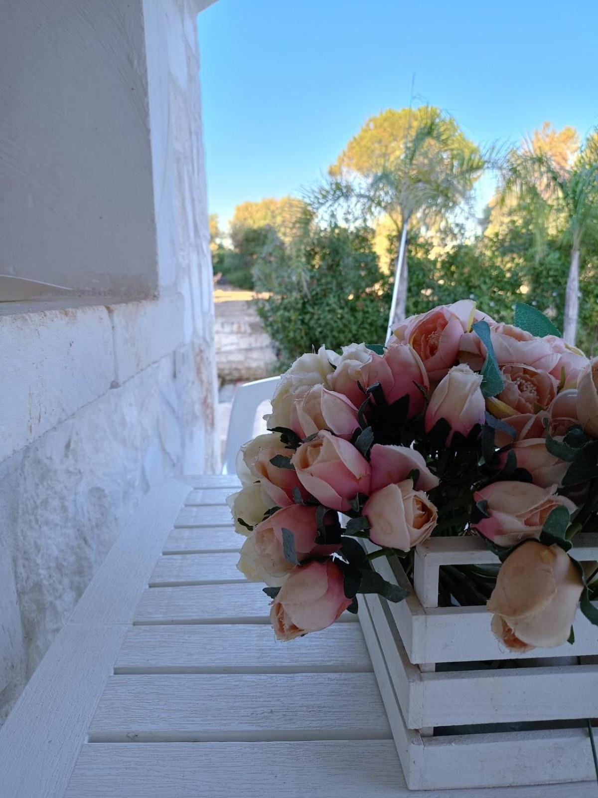 Villa Brachychiton Ostuni Exterior photo