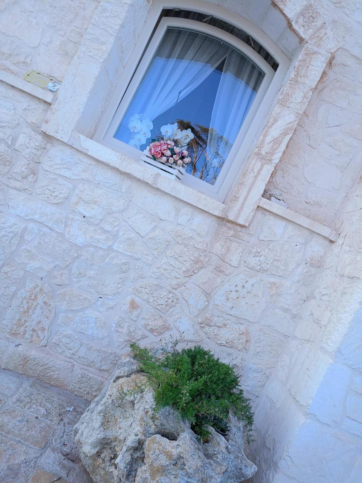 Villa Brachychiton Ostuni Exterior photo